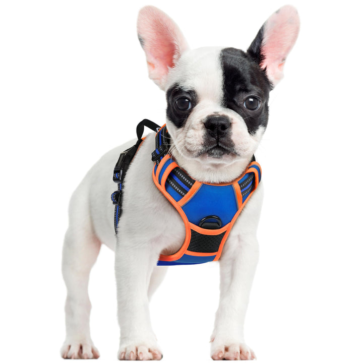 rabbitgoo Hundegeschirr Mittelgrosse Hunde Anti Zug Geschirr Hund mit Kontrolle No Pull Verstellbar
