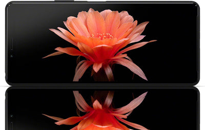 Sony Xperia 10 II Smartphone (15,7 cm (6 Zoll) Full HD+ OLED Display, Triple Kamera System, Android