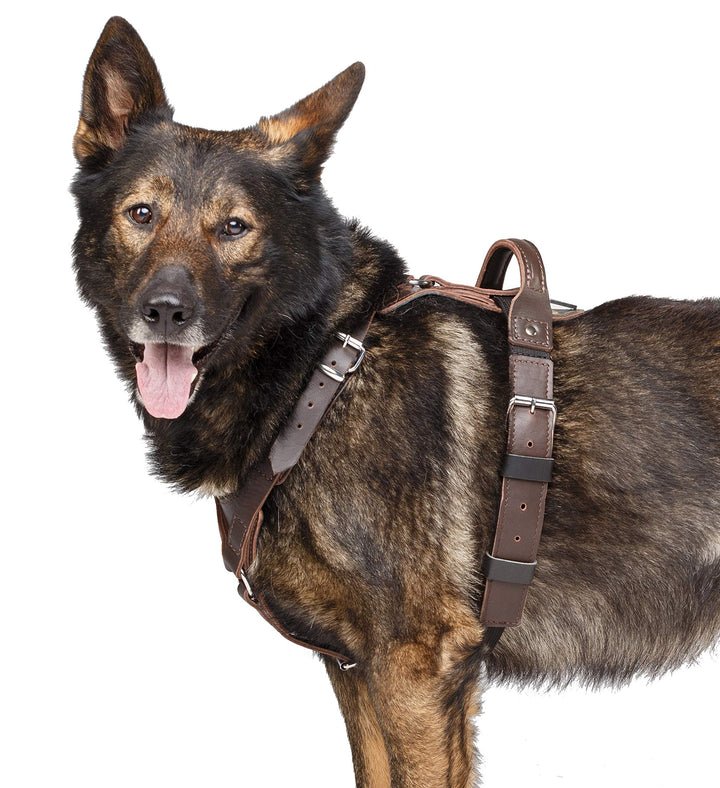 DINGO GEAR Hundegeschirr mit Kobra-Schnalle, Grösse XL bronze XL, bronze XL