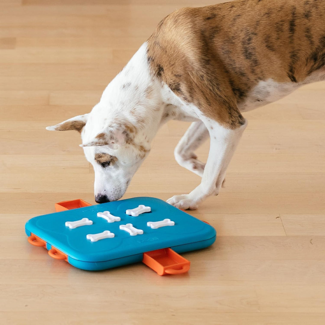 Outward Hound Nina Ottosson Dog Casino - Interaktives Hundespielzeug für Leckerlis - Fortgeschritten