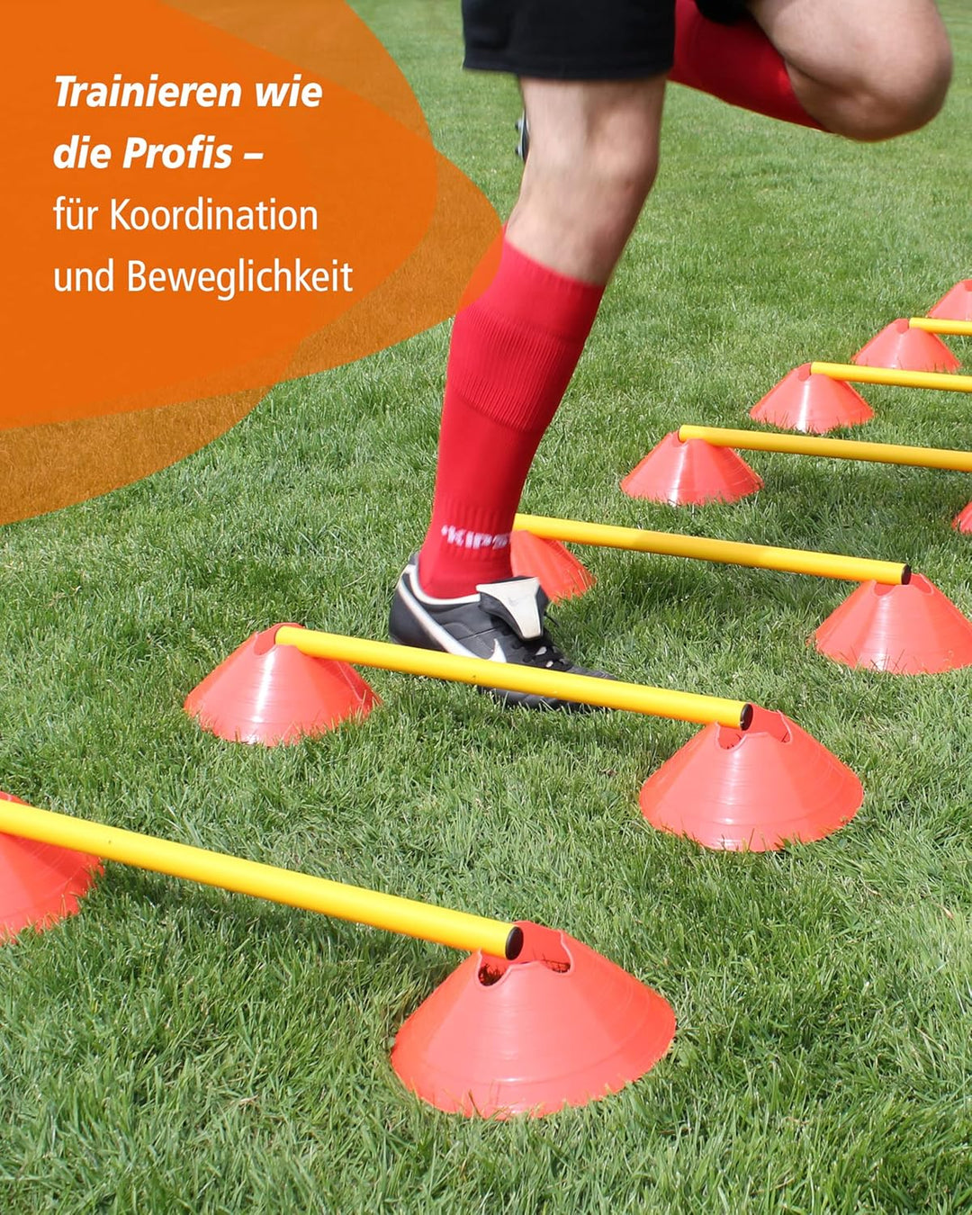 Cavaletti Mini-Hürden 5er Set – Mulden Orange & Stangen Blau – sichere Trainingshürden für Hunde – A