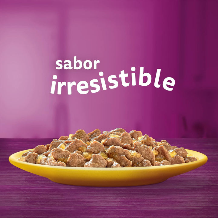 Whiskas Nassfutter für Erwachsene Katzen Auswahl Vögel in Gelatine Multipack (4 x 12 Beutel x 85 g)