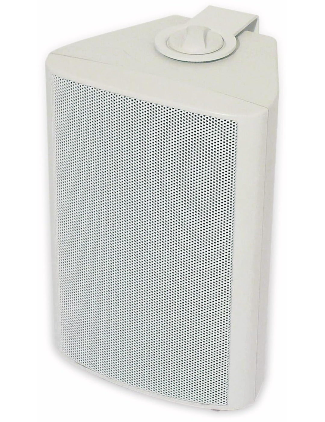 Visaton 50310 Lautsprecher WB 10, 100V+8 Ohm weiss