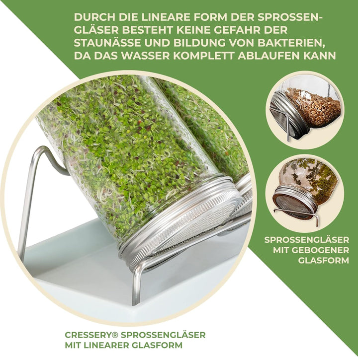 Cressery® Sprossenglas Keimglas 3er Set [grau] mit Deckel &amp; Sieb aus hochwertigem Edelstahl für Spro