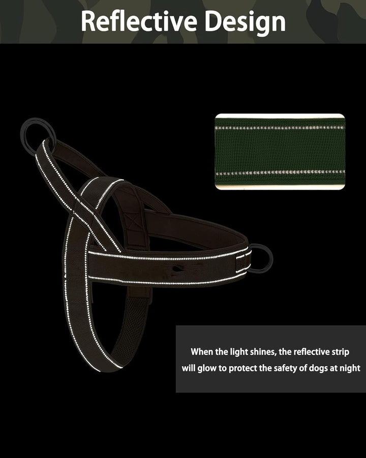 Eeyfarog No Pull Hundegeschirr für kleine mittelgrosse Hunde, reflektierend ausbruchsicher verstellb