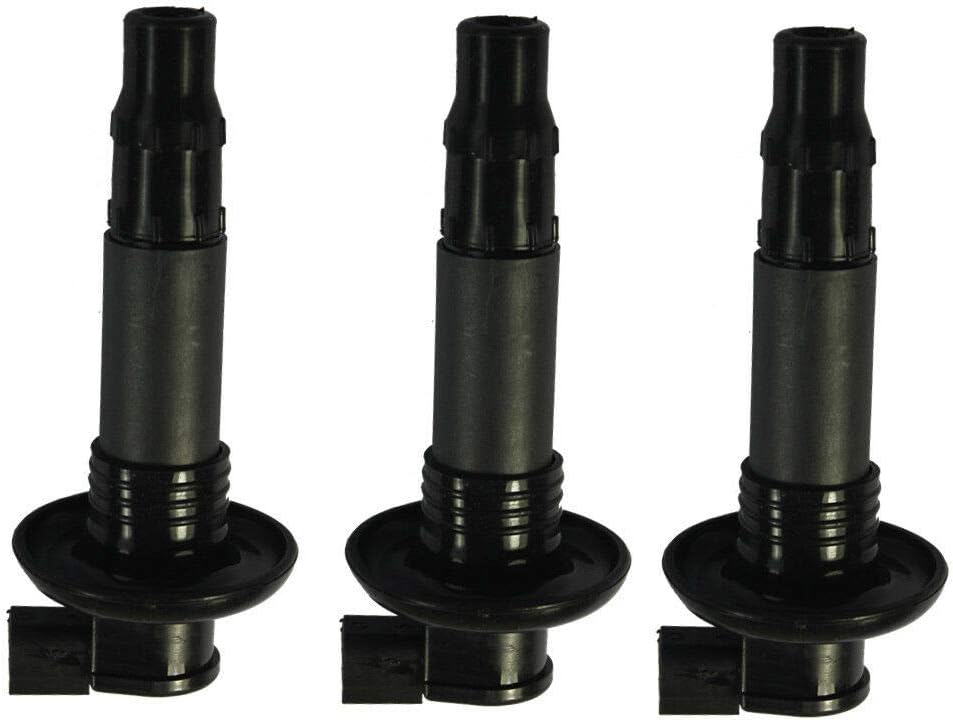 Zündspulen 420664020 296000307 Set für Motorrad Roller GTX RXT RXP GTS Wake 4-TEC-4TEC