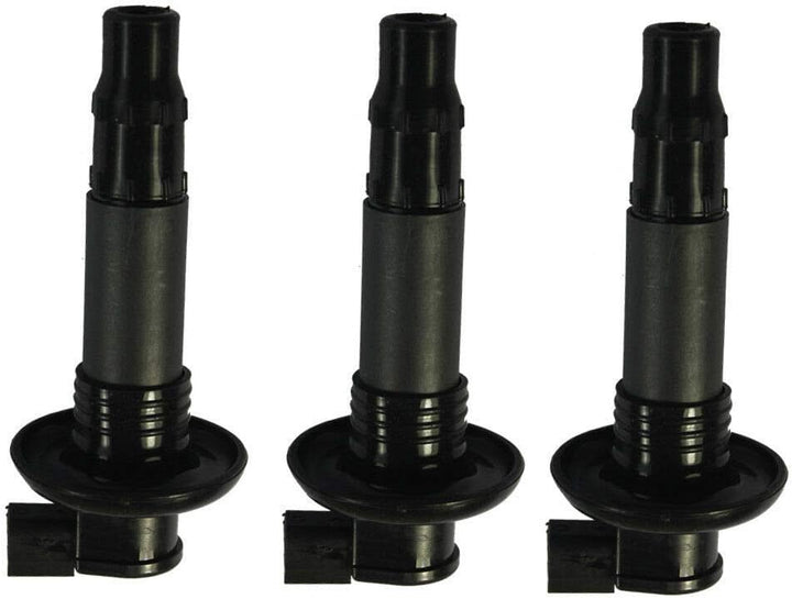 Zündspulen 420664020 296000307 Set für Motorrad Roller GTX RXT RXP GTS Wake 4-TEC-4TEC