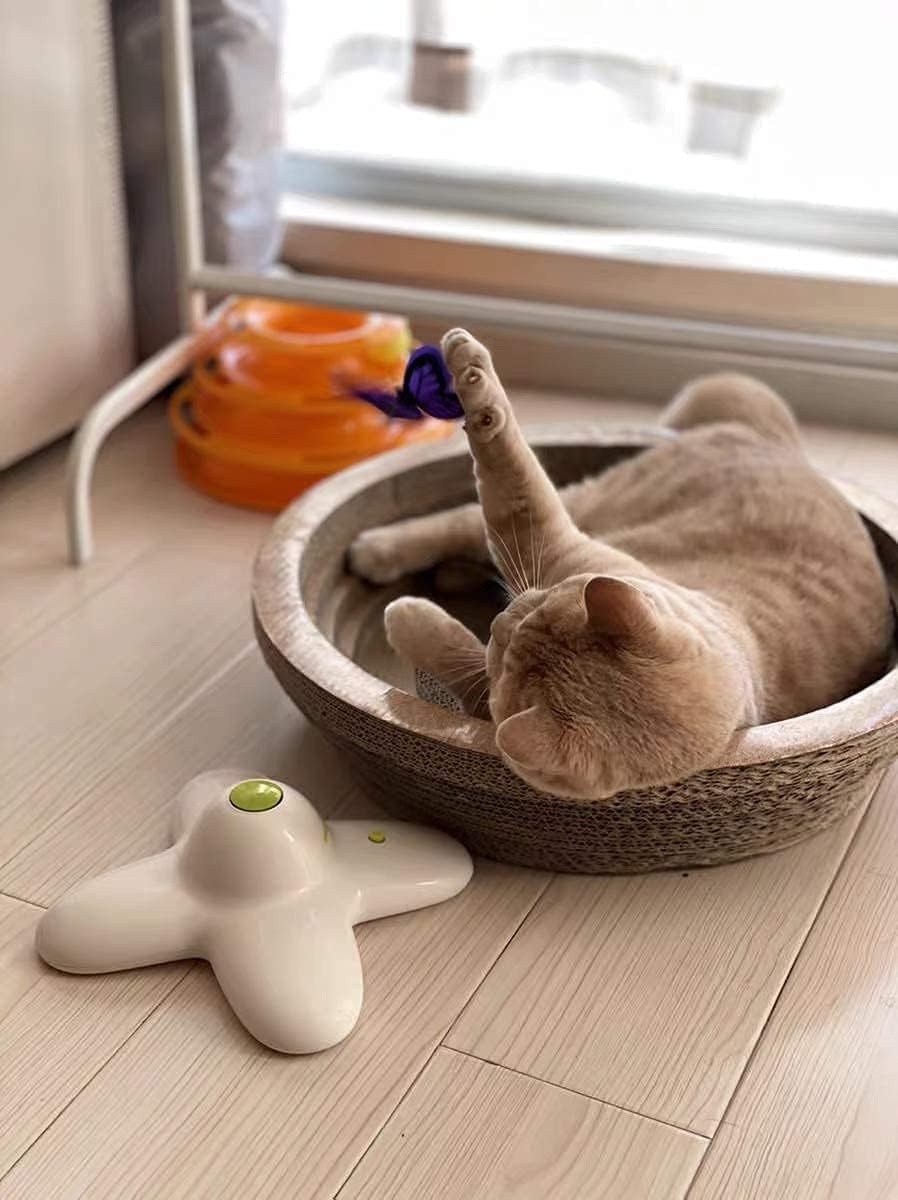 ALL FOR PAWS Interaktives Katzenspielzeug für den Innenbereich, mit 360 ° drehbarem Schmetterling, S