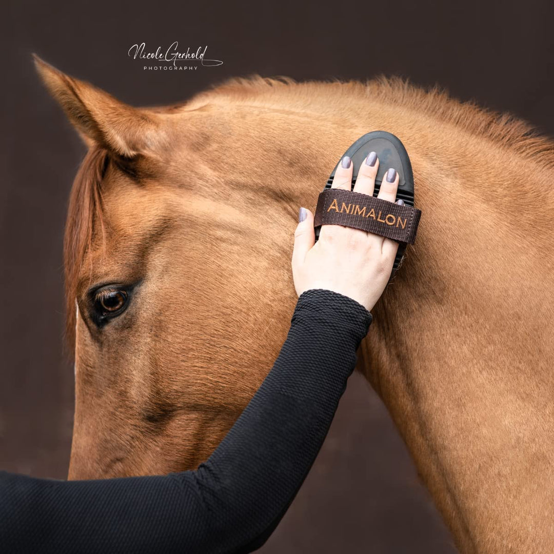 Animalon CareFlex Naturkardätsche | Flexible & hochwertige Schweineborsten Kardätsche für Pferde | m