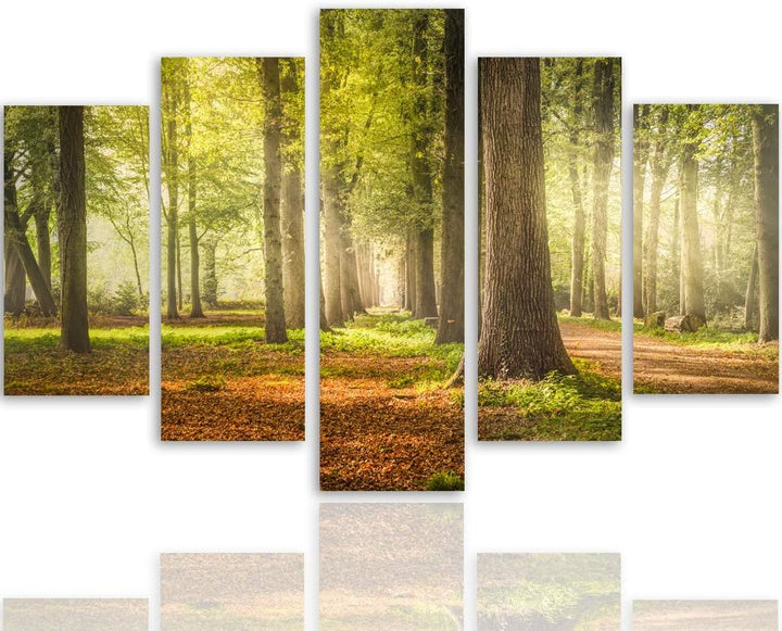 Feeby Leinwandbild Landschaft 5 TLG Bild Kunstdruck Bäume Wald Natur Blätter bunt 250x120 cm Leinwan