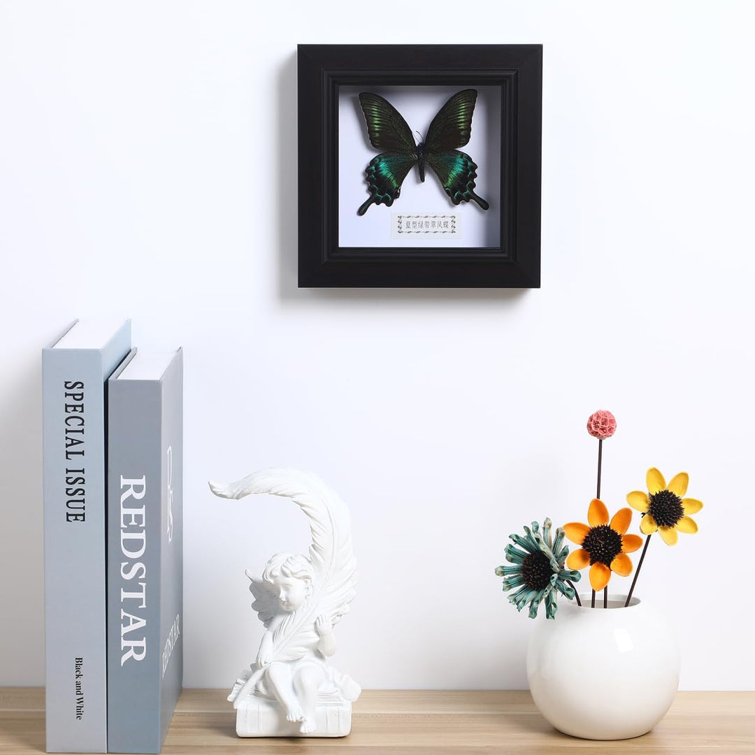 Homoyoyo Rahmen Für Schmetterlingsexemplare Exquisiter Blauer Morpho-Schmetterling Gerahmt Und Monti