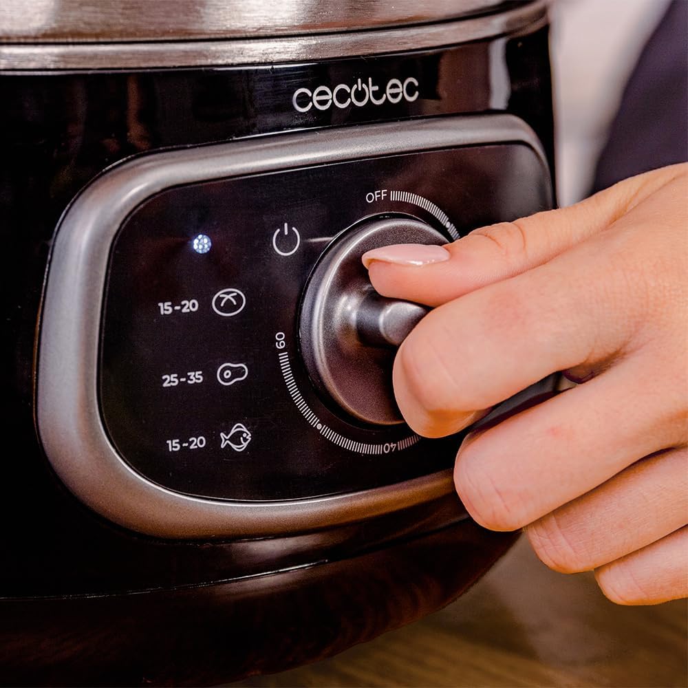 Cecotec Elektrischer Dampfgarer Vapovita Steelpot. Leistung 1300W, Edelstahlbehälter, 10L, einstellb