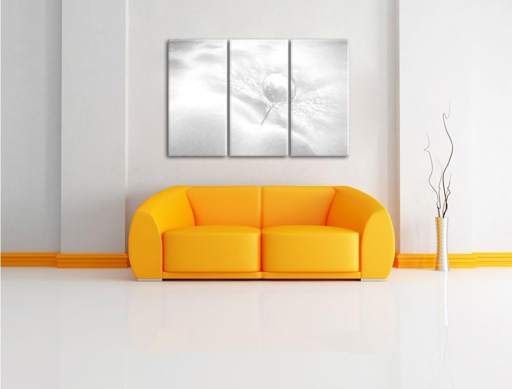 Pixxprint Tautropfen Pusteblume / 3-Teilig/Gesamtmass 120cm Leinwandbild bespannt auf Holzrahmen/Wan