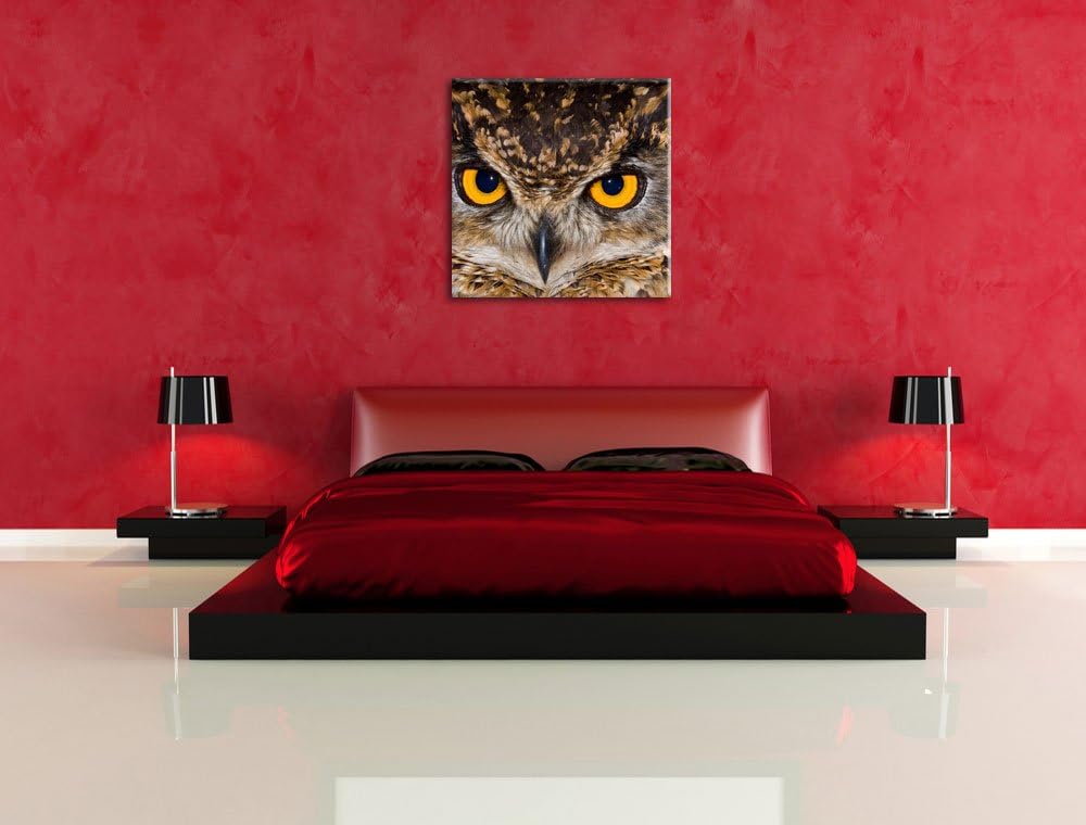 Eule mit gelben Augen, Format: 70x70 auf Leinwand, XXL riesige Bilder fertig gerahmt mit Keilrahmen,