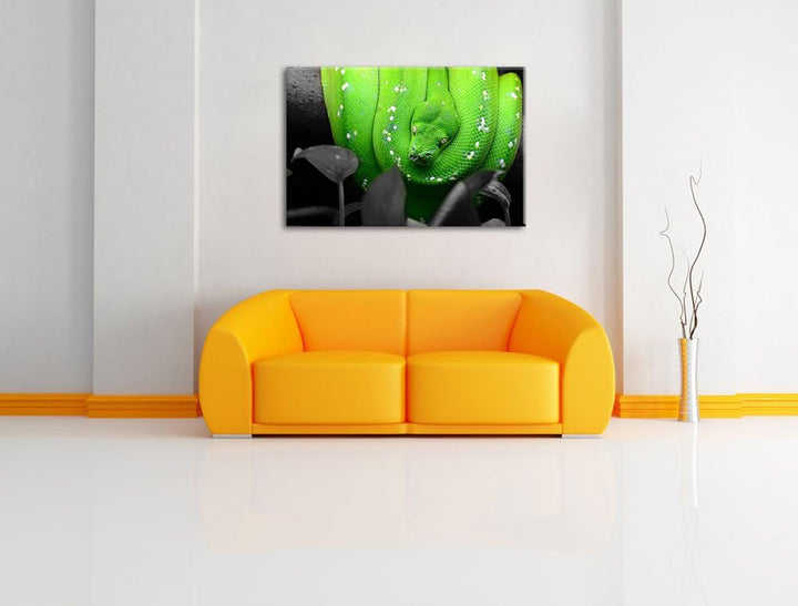 Giftige Grüne Schlange schwarz/weiss Format: 100x70 auf Leinwand, XXL riesige Bilder fertig gerahmt