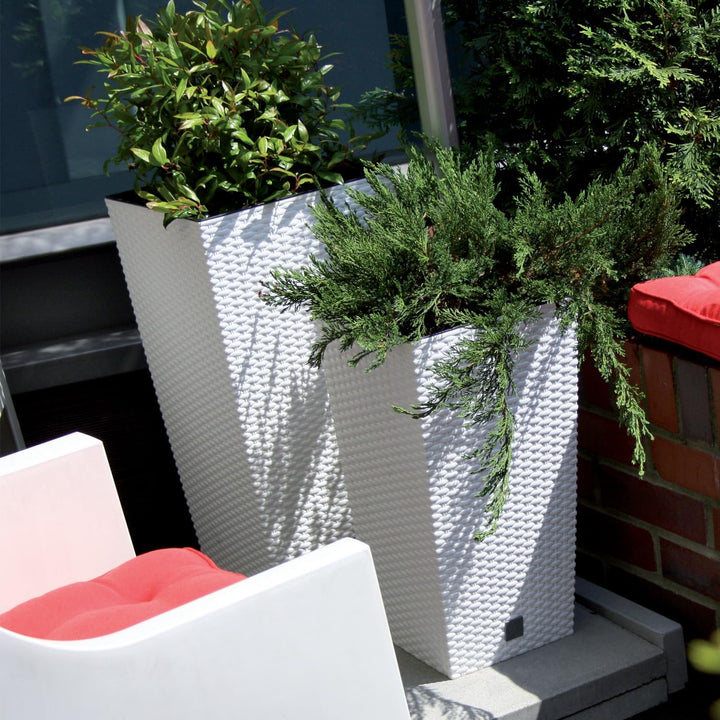 Prosperplast Rato Square Blumentopf 26,5 x 26,5 x 50 cm Weiss | Moderner Pflanzkübel in Rattan-Optik