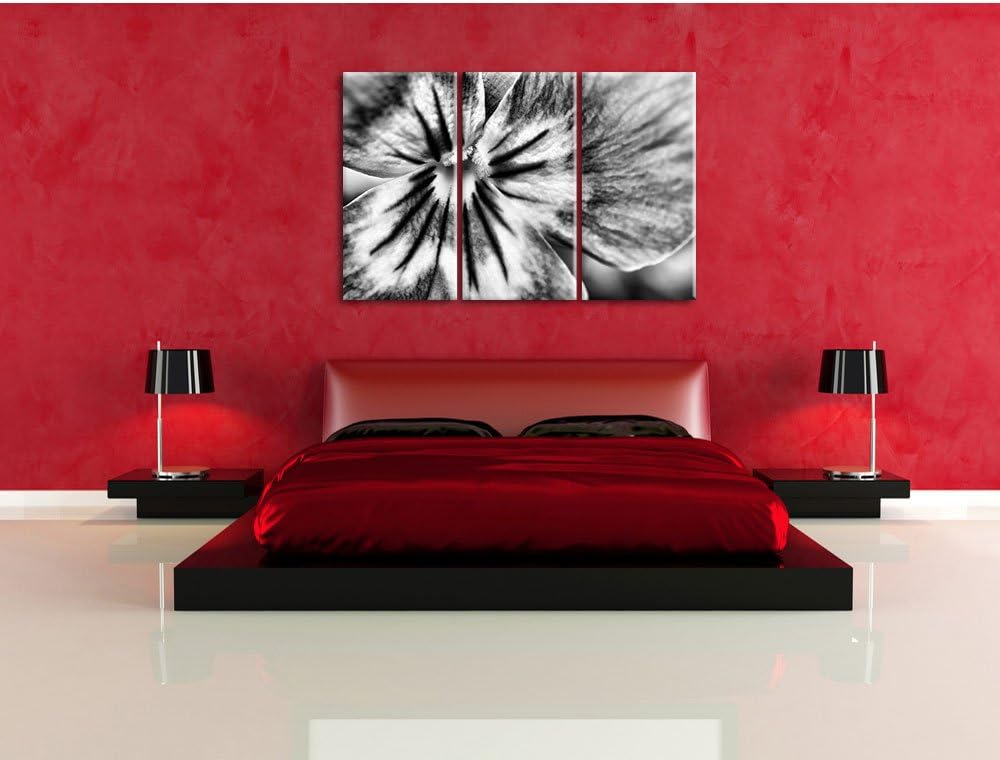 Pixxprint farbenfrohes Stiefmütterchen als Leinwandbild | Grösse: 3 Teilig (120x80) | Wandbild| Kuns