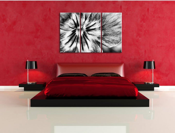 Pixxprint farbenfrohes Stiefmütterchen als Leinwandbild | Grösse: 3 Teilig (120x80) | Wandbild| Kuns