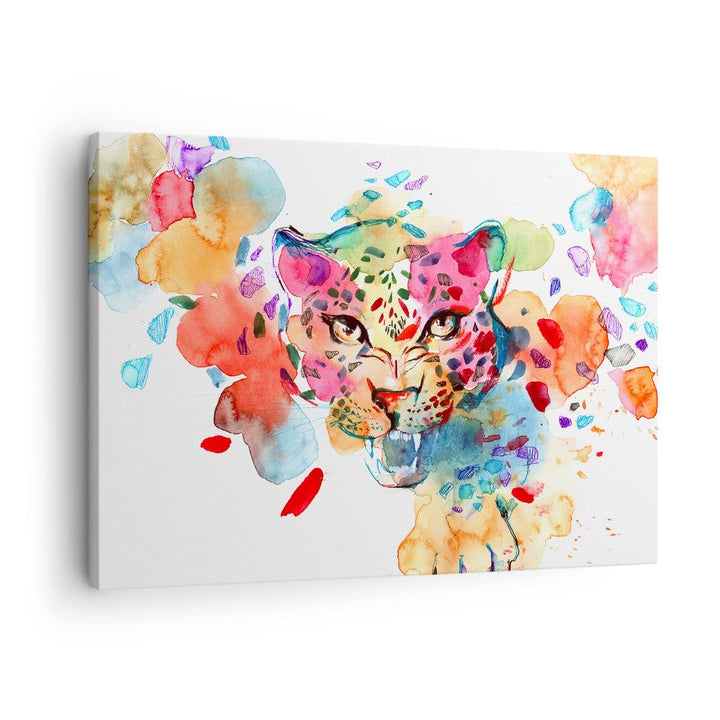 Bilder auf Leinwand Farbe Konzept Katze Leinwandbild mit Rahmen 70x50cm Wandbilder Dekoration Wohnzi