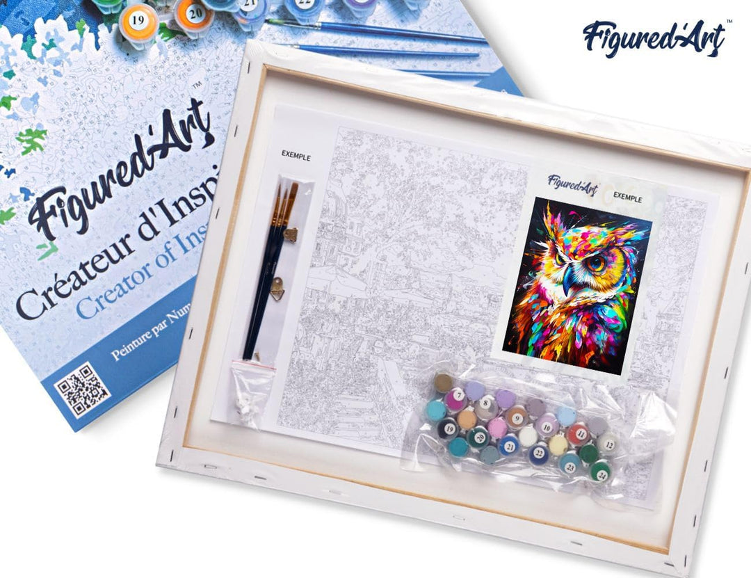 Figured'Art Malen Nach Zahlen Erwachsene Mit Rahmen Eule Farbenfroh Abstrakt - Paint by Numbers Bast