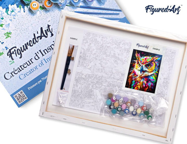 Figured'Art Malen Nach Zahlen Erwachsene Mit Rahmen Eule Farbenfroh Abstrakt - Paint by Numbers Bast