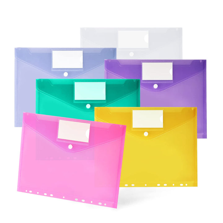Dokumententasche A4 30 pack, Dokumentenmappe A4 Transparent Sammelmappen mit 11 Lochrand und Etikett