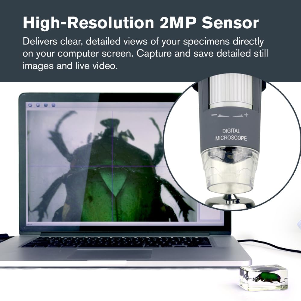 Celestron Deluxe Capture Your Discoveries 44302-C Handheld Digitalmikroskop, Grau Deluxe, Handgerät,