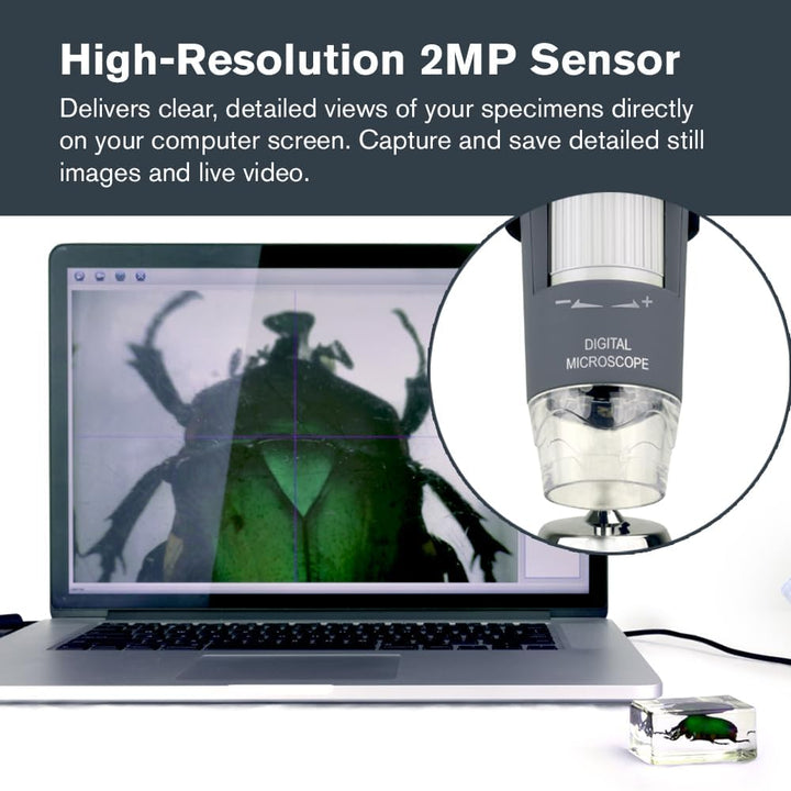 Celestron Deluxe Capture Your Discoveries 44302-C Handheld Digitalmikroskop, Grau Deluxe, Handgerät,