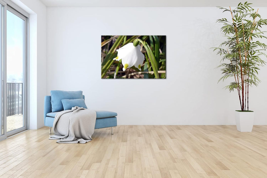 deyoli Schneeglöckchen Format: 80x60 als Leinwandbild, Motiv fertig gerahmt auf Echtholzrahmen, Hoch