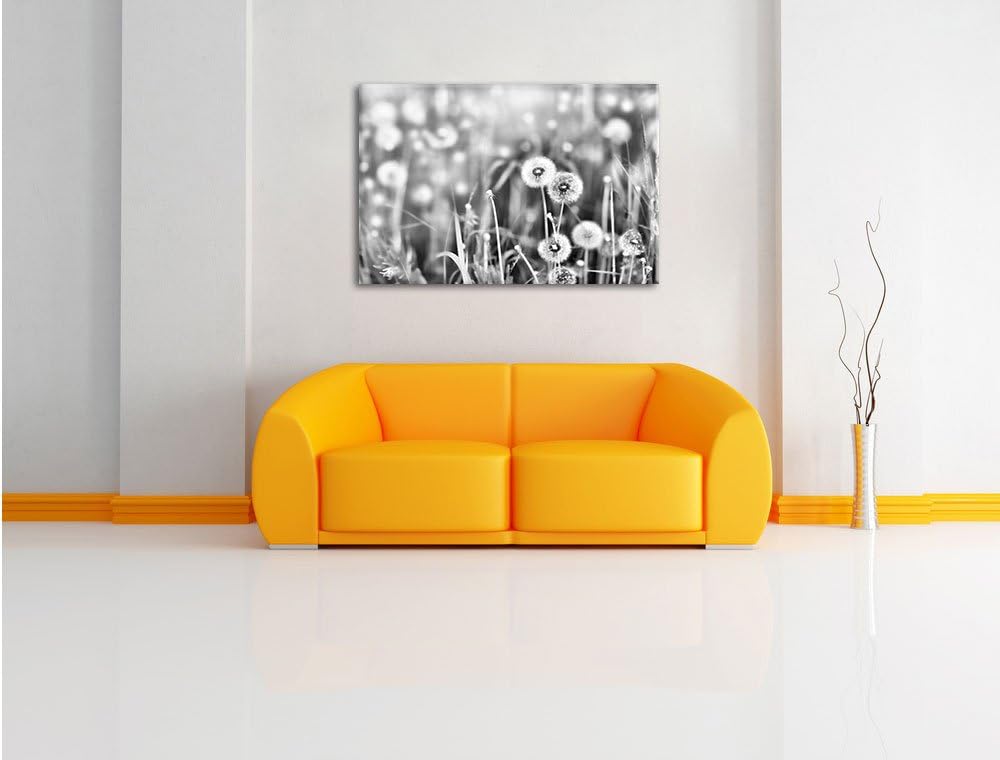 Pixxprint Pusteblumen auf Frühlingswiese / 100x70cm Leinwandbild bespannt auf Holzrahmen/Wandbild Ku