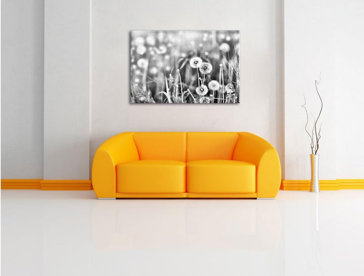 Pixxprint Pusteblumen auf Frühlingswiese / 100x70cm Leinwandbild bespannt auf Holzrahmen/Wandbild Ku