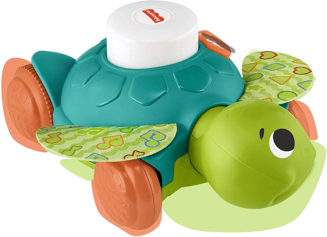 Fisher-Price LK Sea Turtle-FR Frankreich Multi, Frankreich Multi