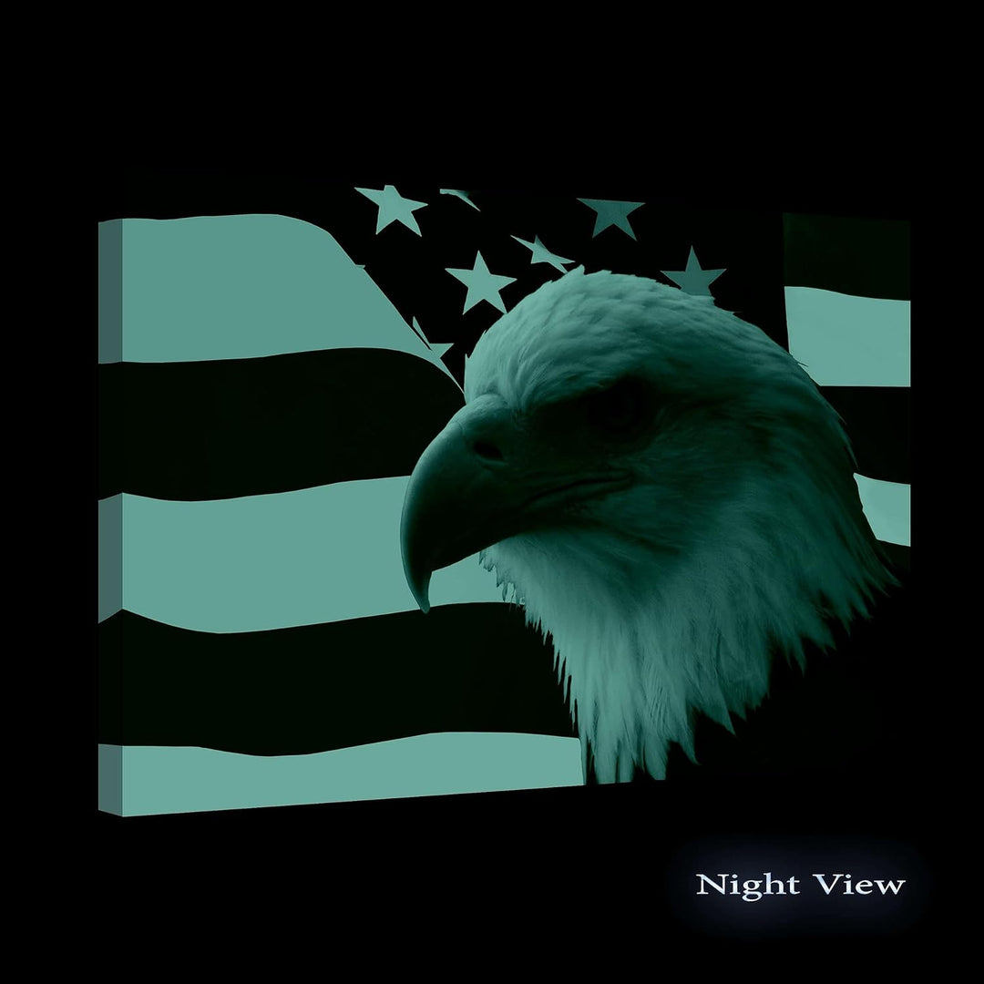 Startonight Bilder Amerikanischer Adler auf der Flagge, Leinwandbilder Moderne Kunst, Tiere Wanddeko