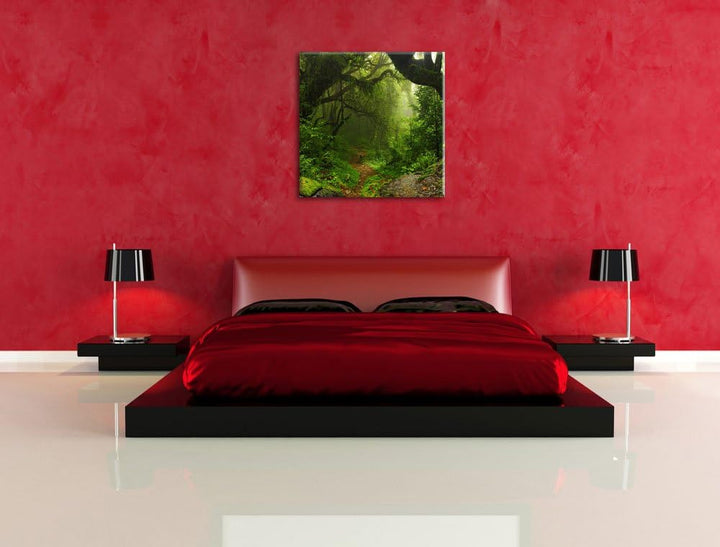 Mystischer Regenwald, Format: 70x70 auf Leinwand, XXL riesige Bilder fertig gerahmt mit Keilrahmen,