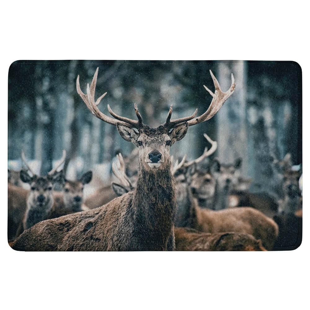 Mars & More Küchenmatte Winter Hirsch Fussmatte Matte Fussabtreter Türmatte RARMWD
