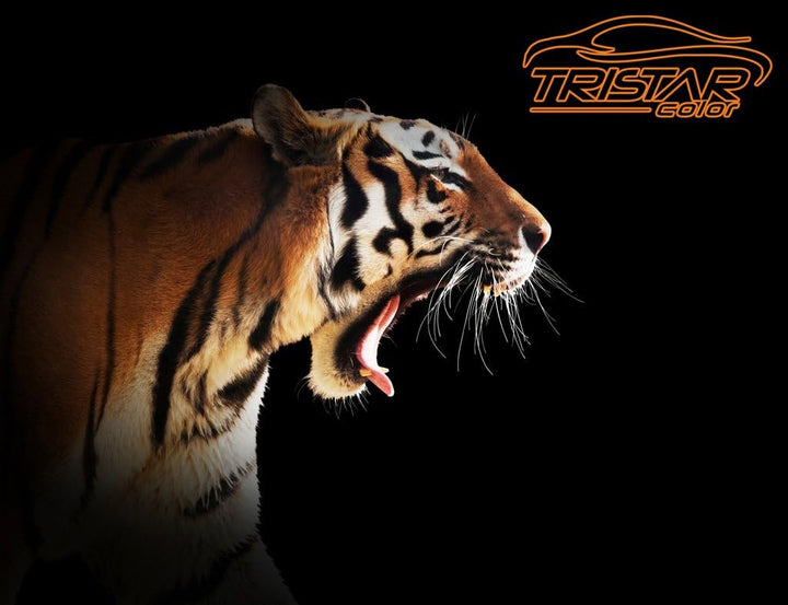 TRISTARcolor Autolack Spraydose für Datsun/Infiniti KH3 Noir Ebene +1K