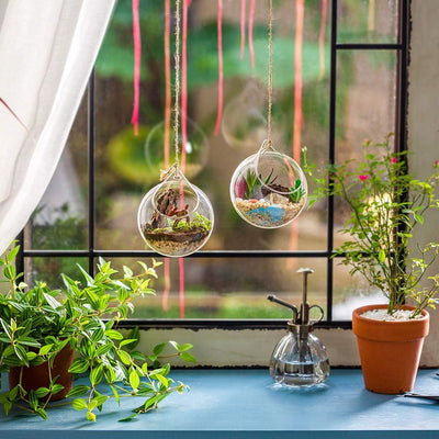 Hängende Glaskugel Vase Glaskugel 4 Pcs Grosse Öffnung Sukkulenten Aufhängen Terrarium Glas Flower A