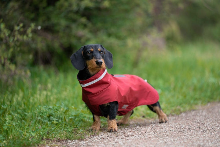 WOLTERS Outdoorjacke Modern Classic für Dackel, Grösse:42 cm, Farbe:rot 42 cm rot, 42 cm rot