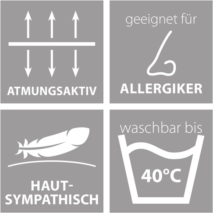 Traumnacht Cozy Stuhlkissen 2er Set 38 x 38 x 6 cm, Sitzkissen für Gartenstuhl, Küche &amp; Esszimmer, b