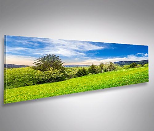 islandburner Bild Bilder auf Leinwand Wiese Bergwiese Landschaft Berge Panorama XXL Poster Leinwandb