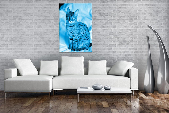 deyoli süsse Savannah Katze Format 80x60 Effekt: Monocrome Blau als Leinwandbild, Motiv fertig gerah