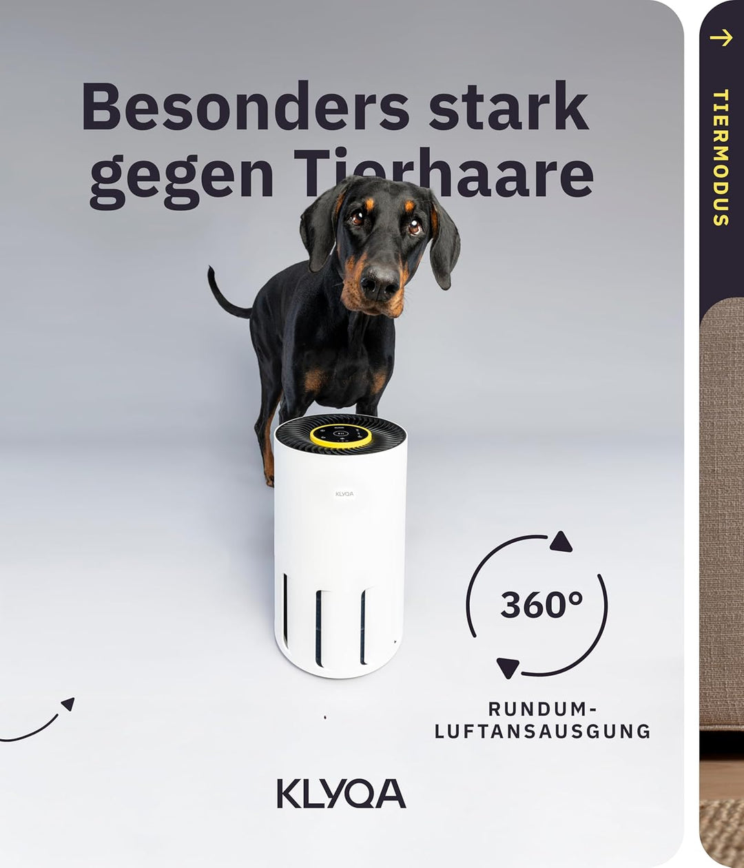 Luftreiniger Allergiker 360° HEPA-Filter Pet entfernt 99,99% der Tierhaare, Staub & Pollen I 300 CAD
