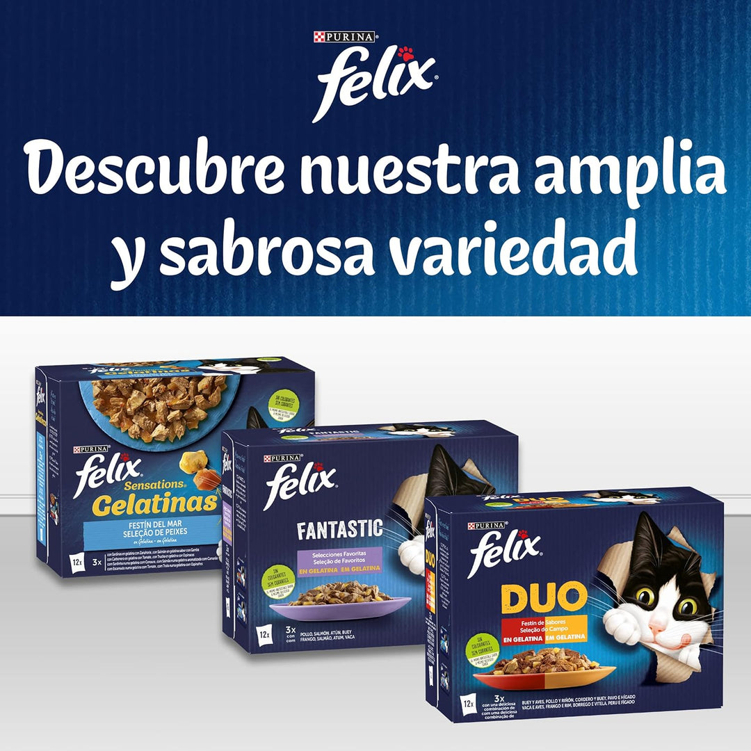 Felix Jeden Tag Party Mix in Gelee Katzenfutter, Nassfutter Mahlzeitbeutel mit Rund, Huhn, Lachs & T