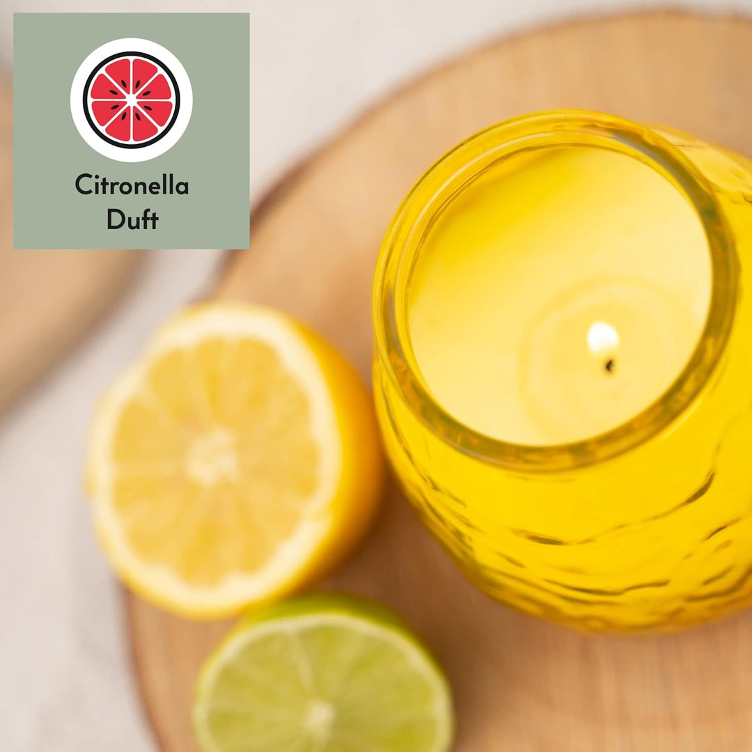 HOFER 6 x Bistro-Licht Citronella gelb | Windlicht Outdoor | Hochwertige Kerze im Glas mit Citronell