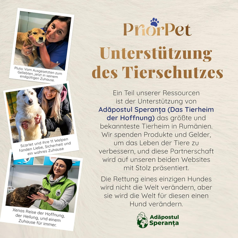 Hunderampe - Hundetreppe für kleine Hunde und grosse Hunde - Für Bett und Sofa - Birkenholz - 5 Edle