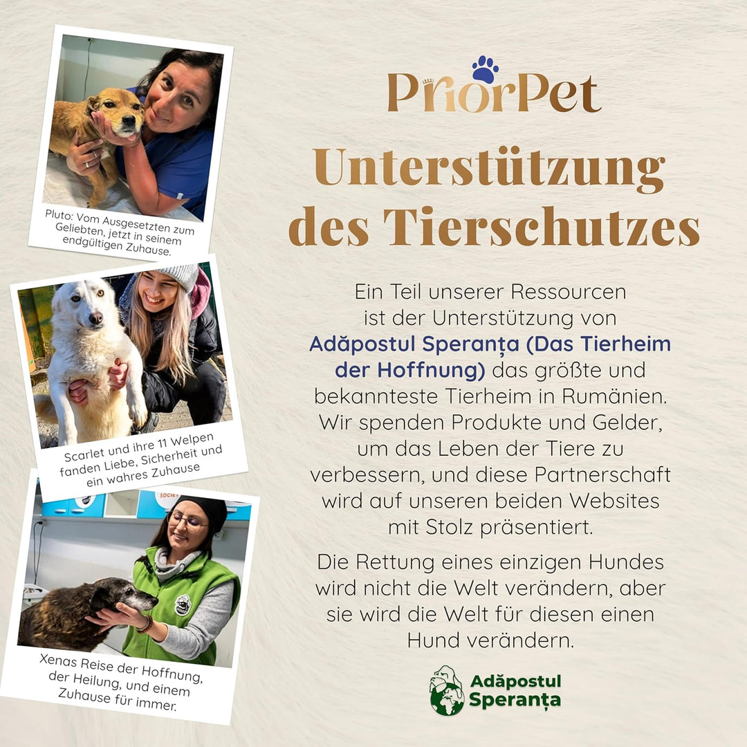 Hundetreppe für Bett - 4 Stufen Hunderampe 58cm hoch - Schaumstoff Treppe für kleine Hunde - Sichere