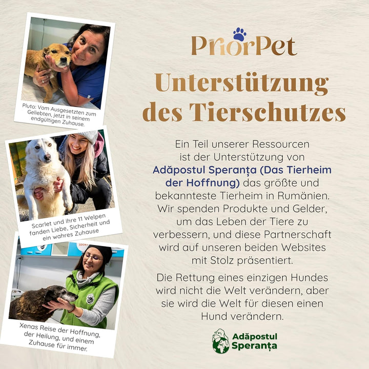 Hundetreppe für Bett - 4 Stufen Hunderampe 58cm hoch - Schaumstoff Hundetreppe für kleine Hunde - Si
