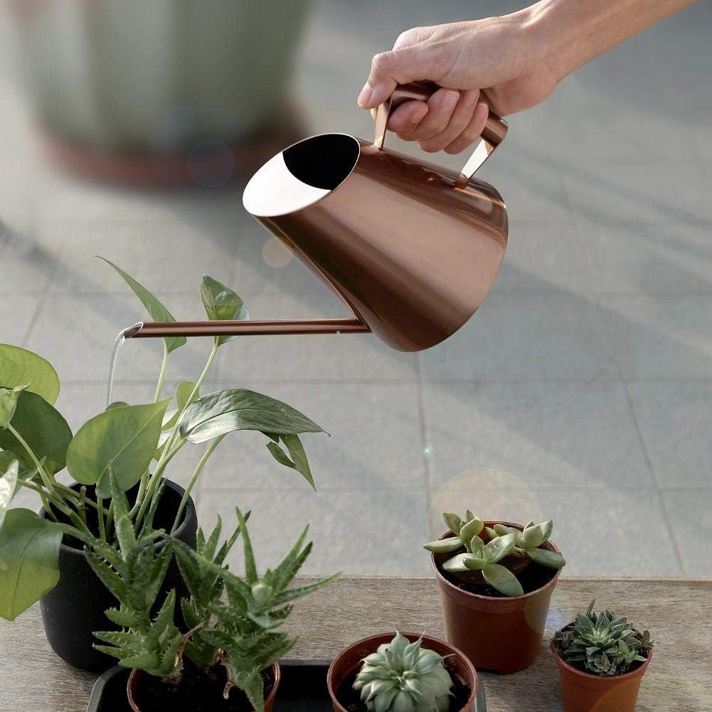 Haushalts-Bonsai-Edelstahl-Giesskanne, Mini gebürsteter Innenhaus-Pflanzen-Langer Tüllen-Giesskanne-
