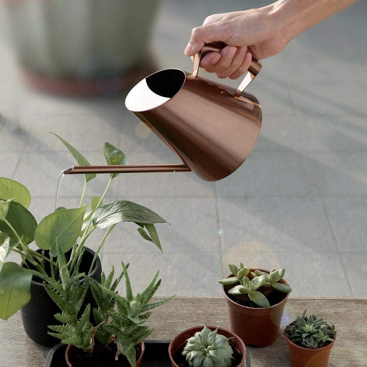 Haushalts-Bonsai-Edelstahl-Giesskanne, Mini gebürsteter Innenhaus-Pflanzen-Langer Tüllen-Giesskanne-
