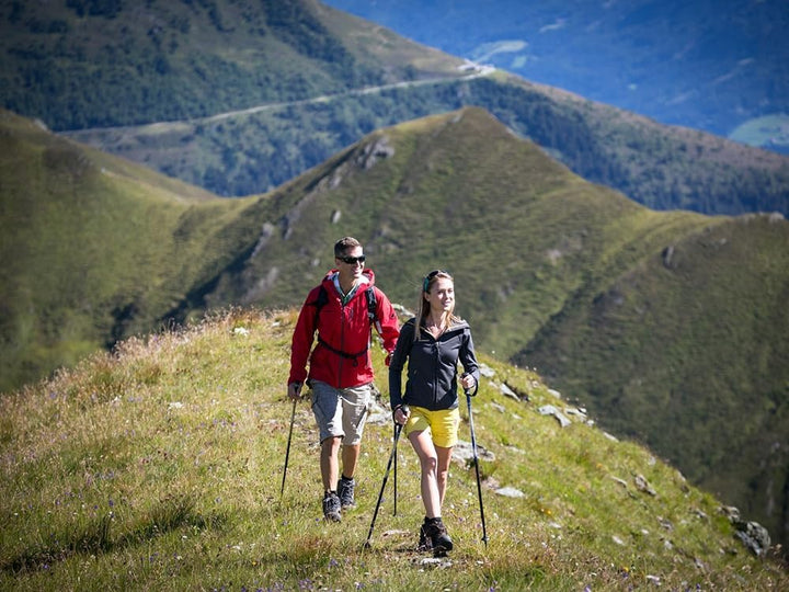 Trekkingstöcke mit Anti-Schock-System, Nordic Walking und Wandern, leichtes und robustes Aluminium,